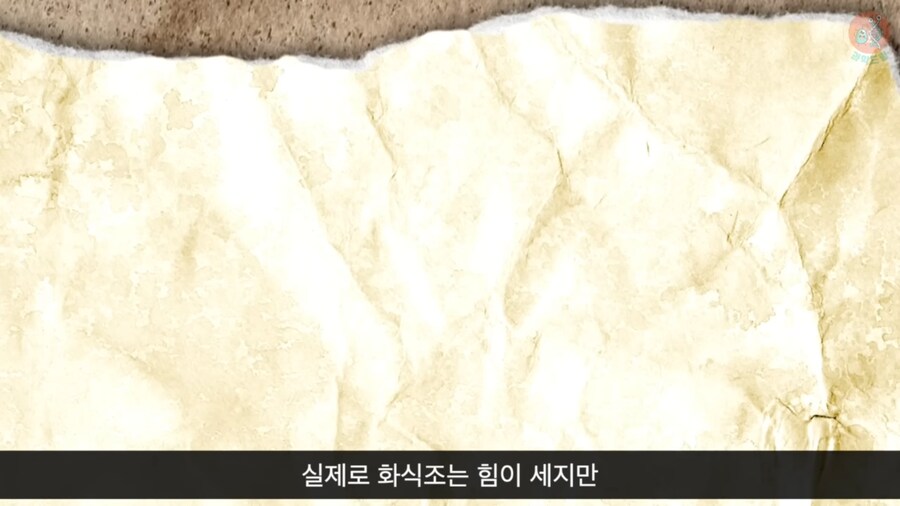 세상에서 가장 위험한 새라고 불리우는 화식조의 반전_28.png