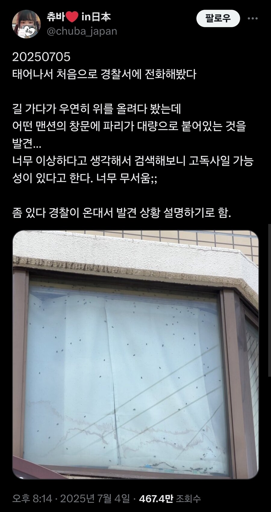 창문에 파리가 대량으로 있어서 경찰에 신고했더니.x_1.jpg