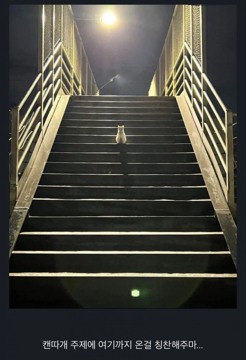 심상치 않은 구도.webp_1.webp