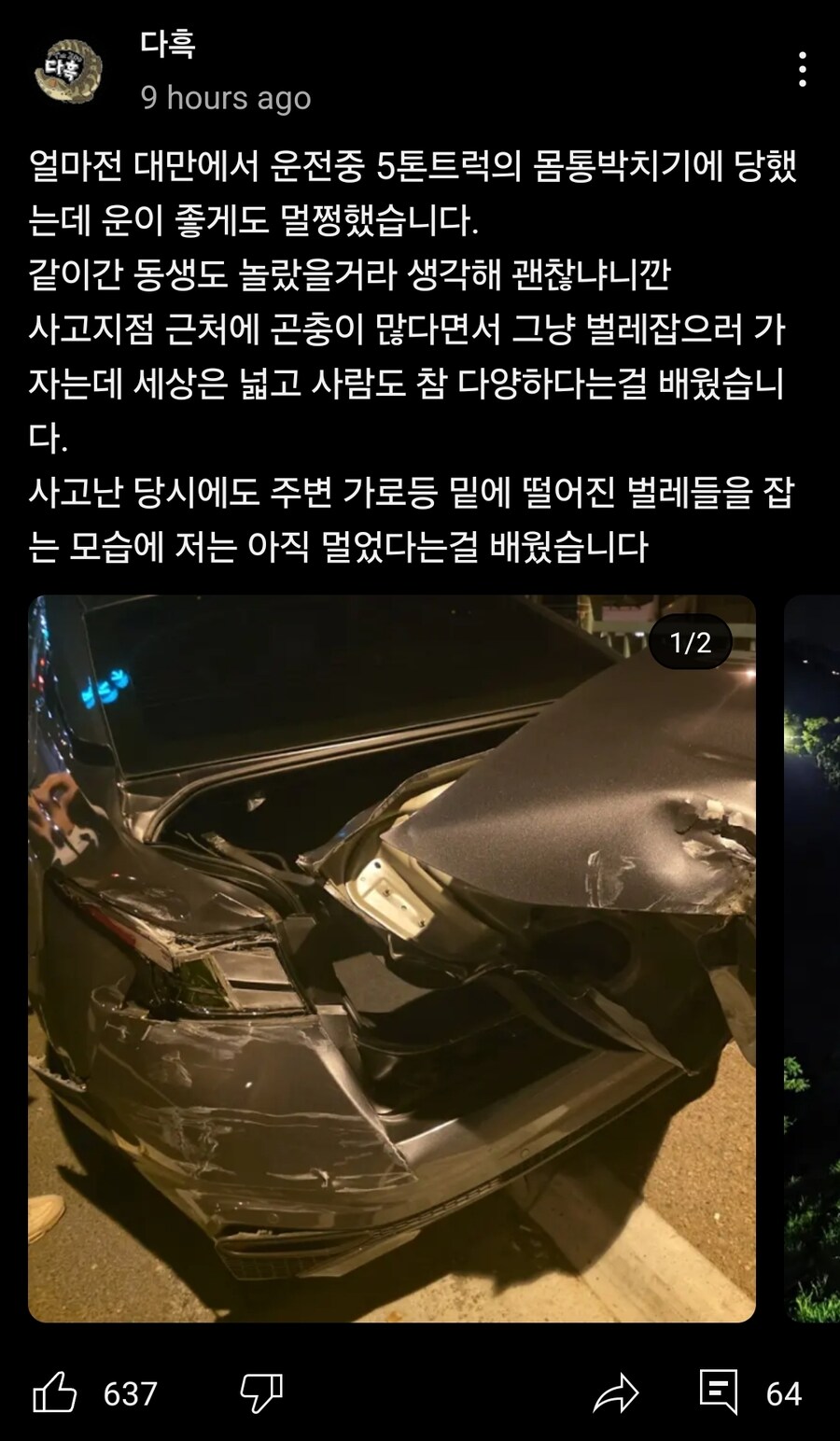 대만 갔다가 교통사고 당한 동물유튜버 다흑_1.jpg