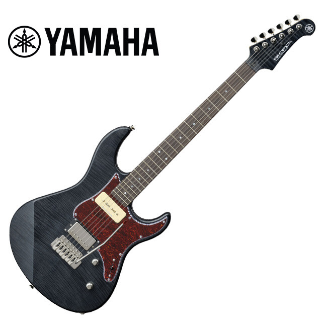 봇치) 기타 초보자가 보는 봇치기타(퍼시피카) 사는 팁(주변 조언 첨언)_3.jpg