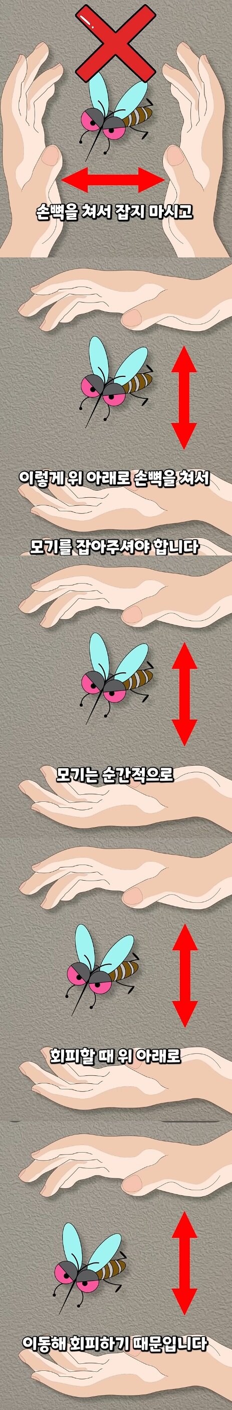 모기 잡을 때 꿀팁_1.jpg
