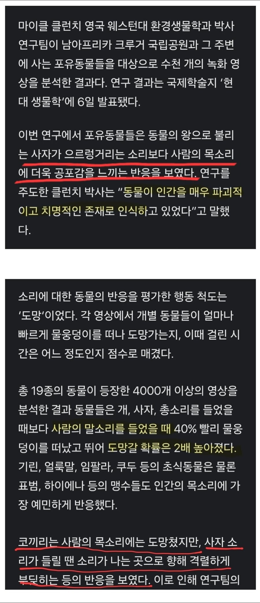 코끼리가 사자보다 더 무서워 하는 동물._1.jpg