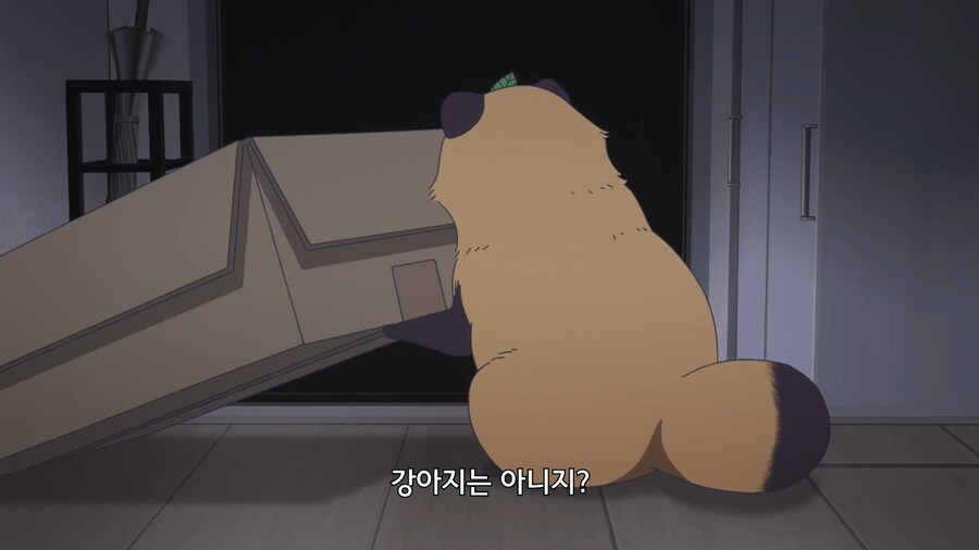 비와너와]비오는 날 유기견을 주워왔다_5.jpg