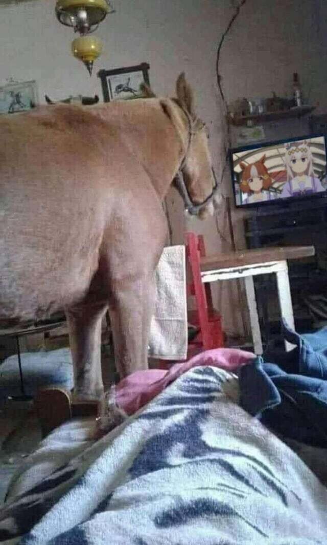 [말딸] 레딧의 관련 짤 모음_2.jpg