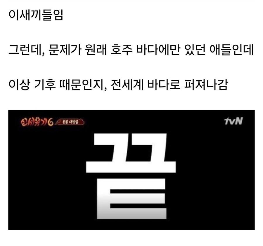 바다의 보이지 않는 위협이라 불리는 해파리_8.jpg