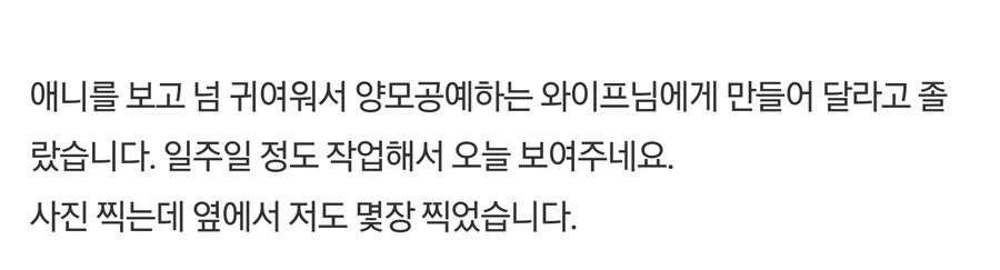 케이팝) 수씨와 더피 양모펠트_6.jpg