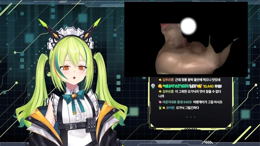 버튜버) 영도 보는 아렌이._1.jpg
