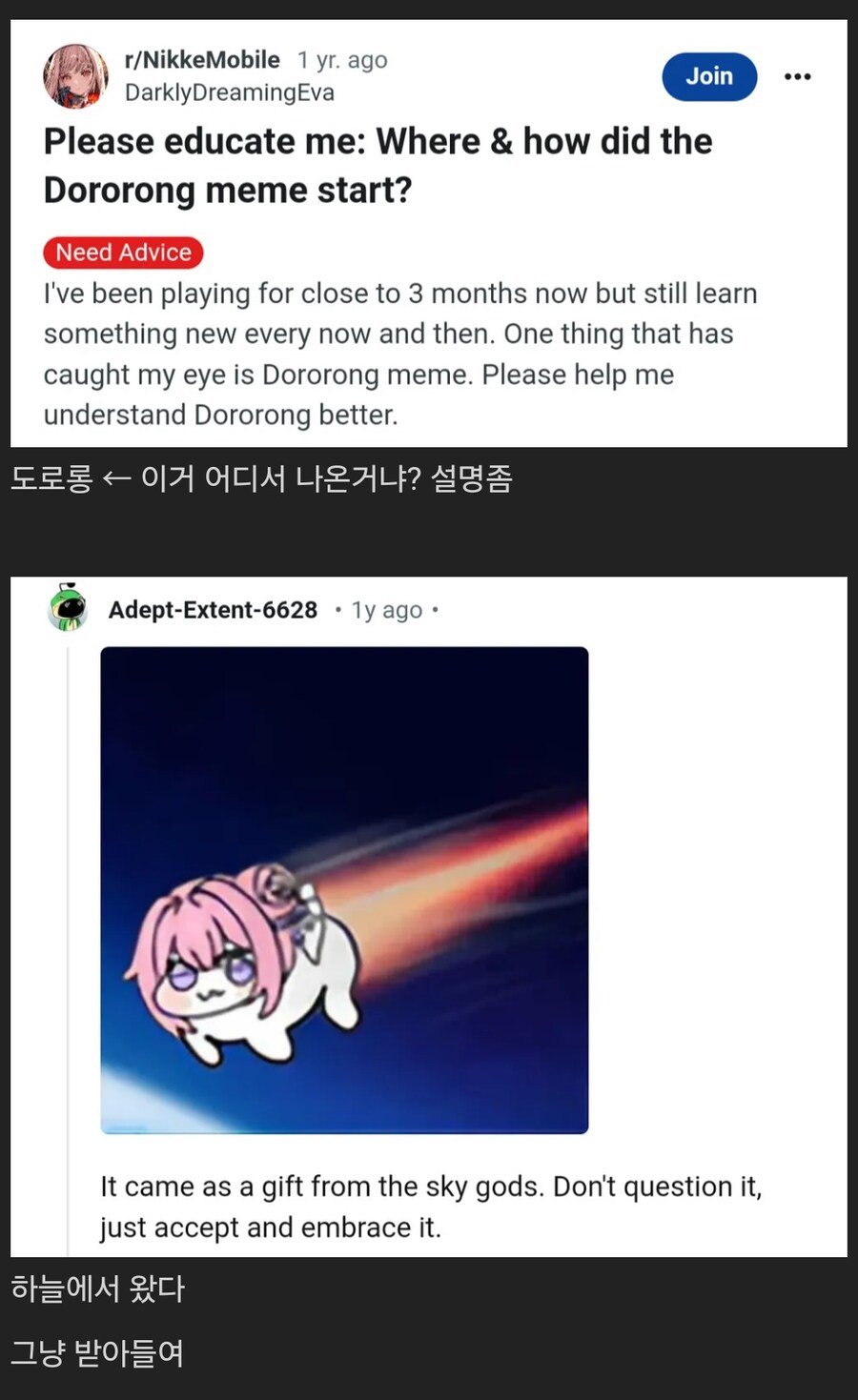 도로롱 밈의 기원:_1.jpg