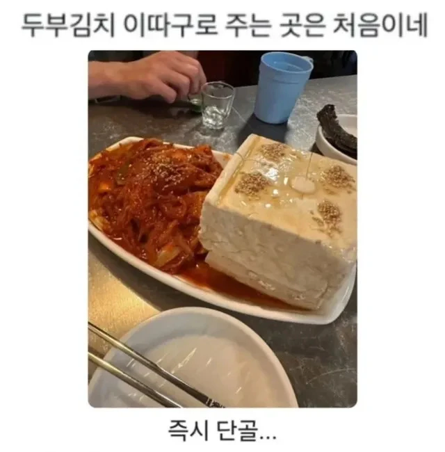 호불호 갈린다는 두부김치 취향