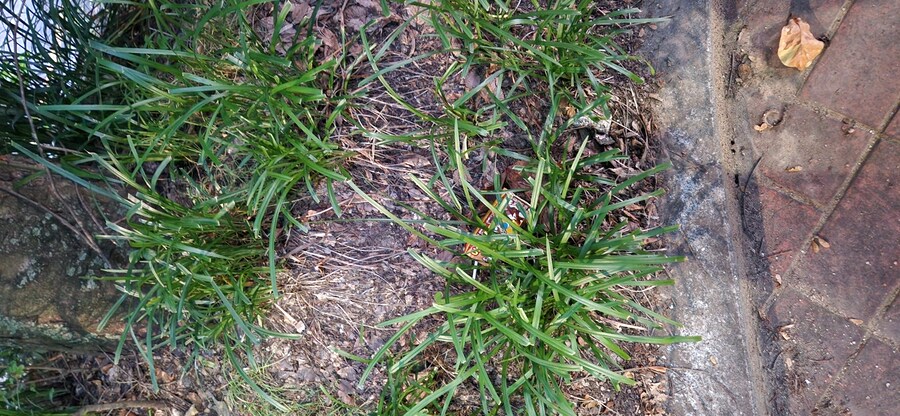 유산소 운동하는날 생긴 일과_6.jpg