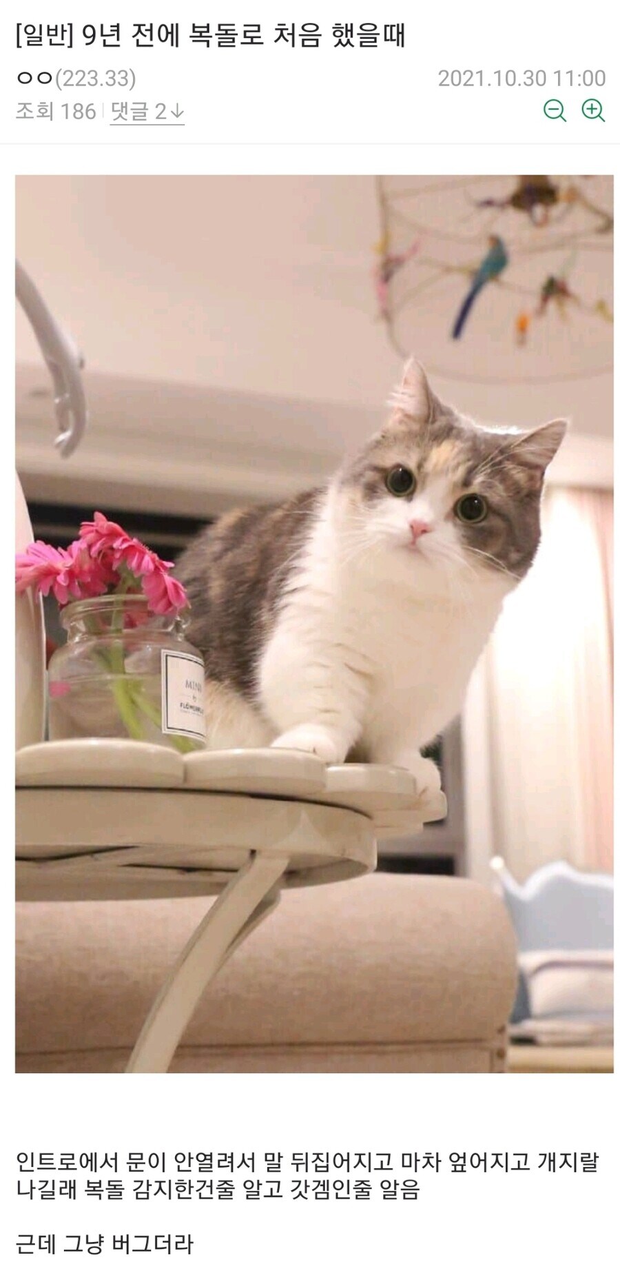 놀라운 스카이림의 불법복제 방지법.jpg_1.jpg