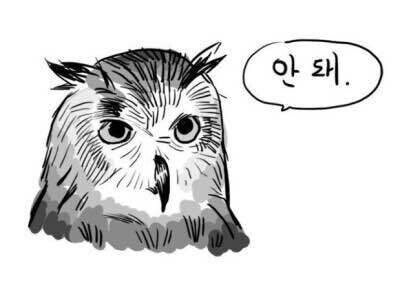 야구) 한화야 한국시리즈 간다면 누구랑 갈래?_2.png
