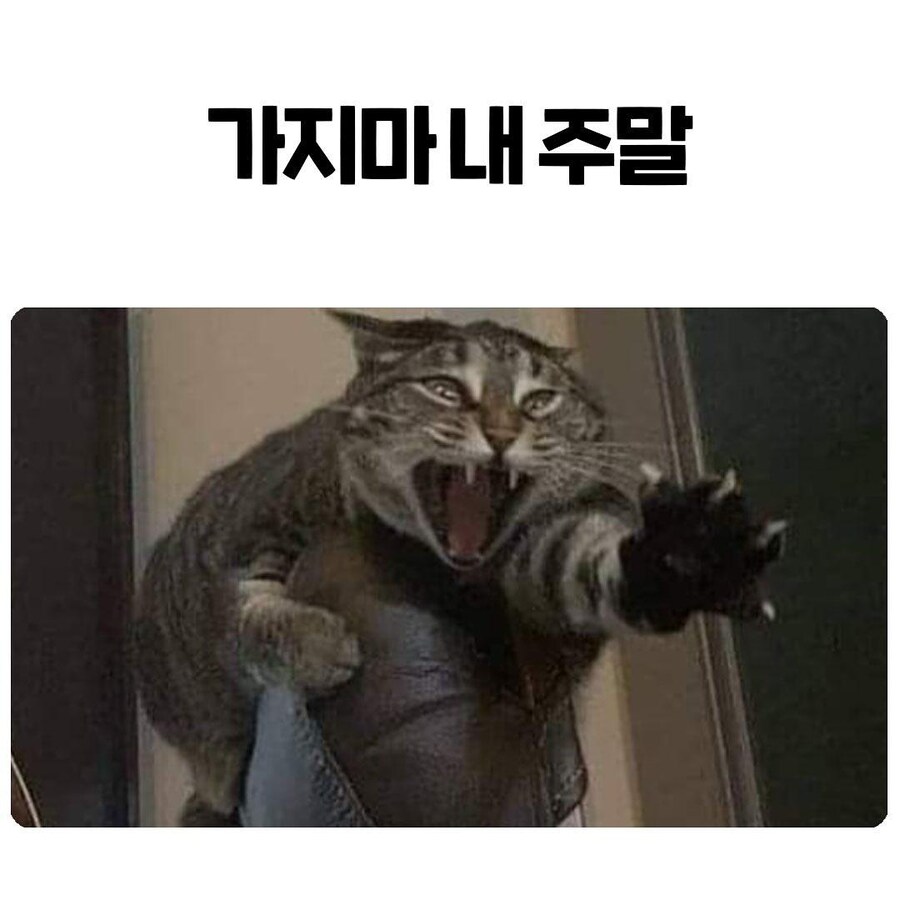 이 시기 가장 적절한 짤_1.jpg