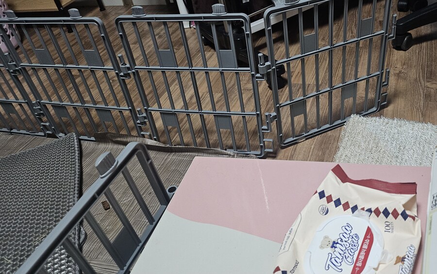 거북이 키우면 퇴근후 볼수있는일_1.jpg