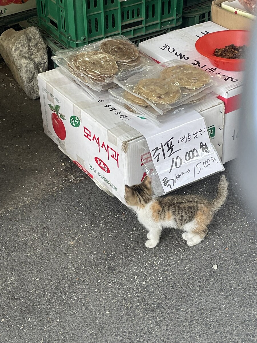 죽은거 아님_2.jpg