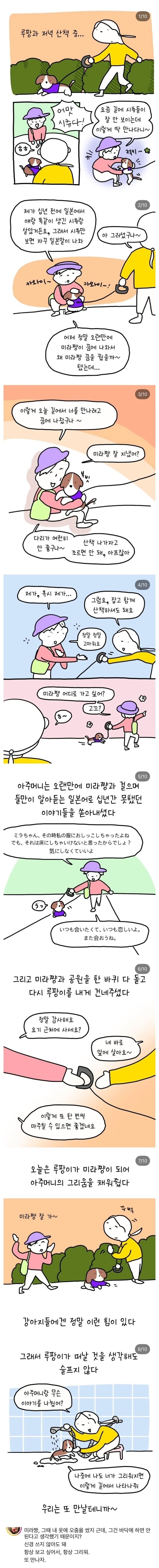 반려견 산책중 만난 아줌마_1.jpg