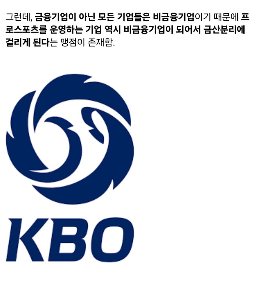 왜 금융기업은 야구단, 축구단을 소유할 수 없을까?_4.jpg