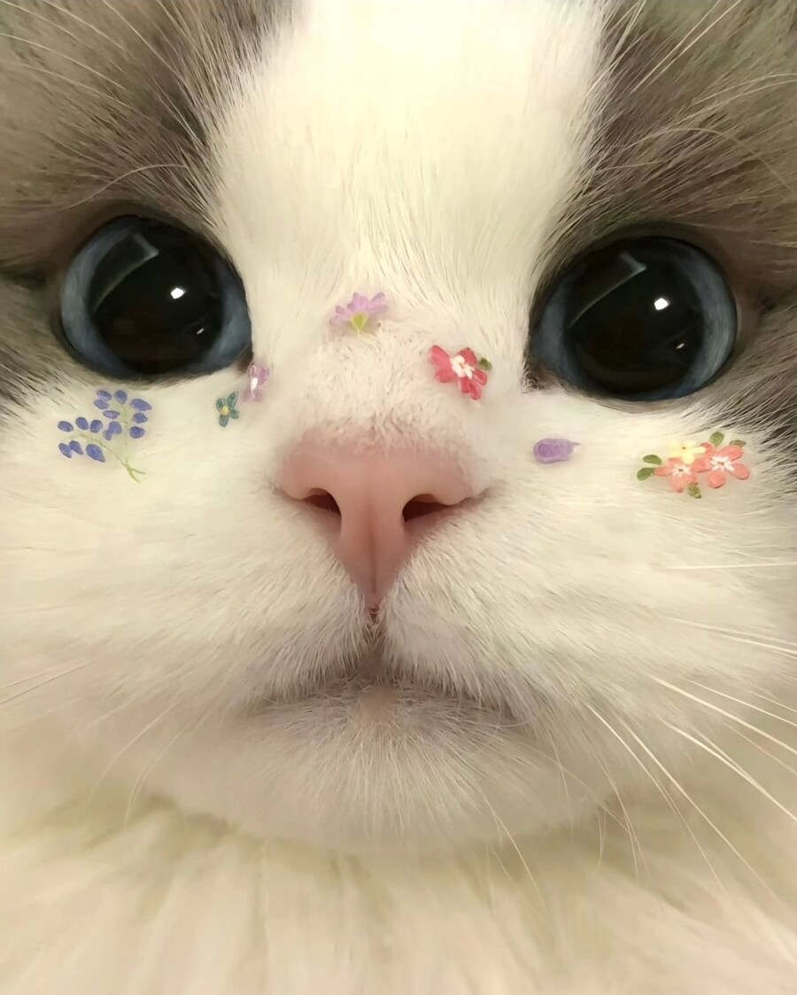 게장이나 오징어젓 사는 유게이 있음?_1.jpg