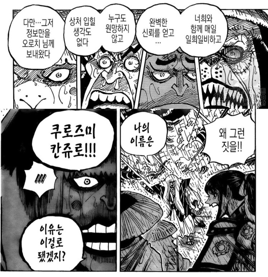 원피스 와노쿠니 에피에서 은근 이해되지 않던 감정선.jpg_2.jpg