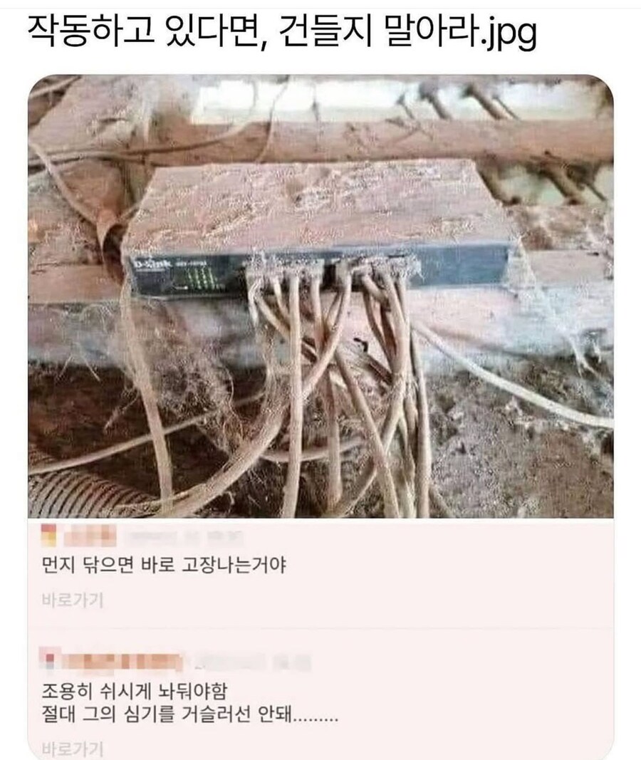 함부로 건들면 큰일나는 오래된 존재_1.jpg