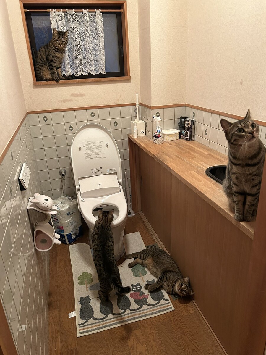 화장실 감시카메라.jpg_1.jpg