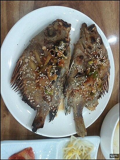 이순신 장군님이 이름을 지어준 생선_2.jpg