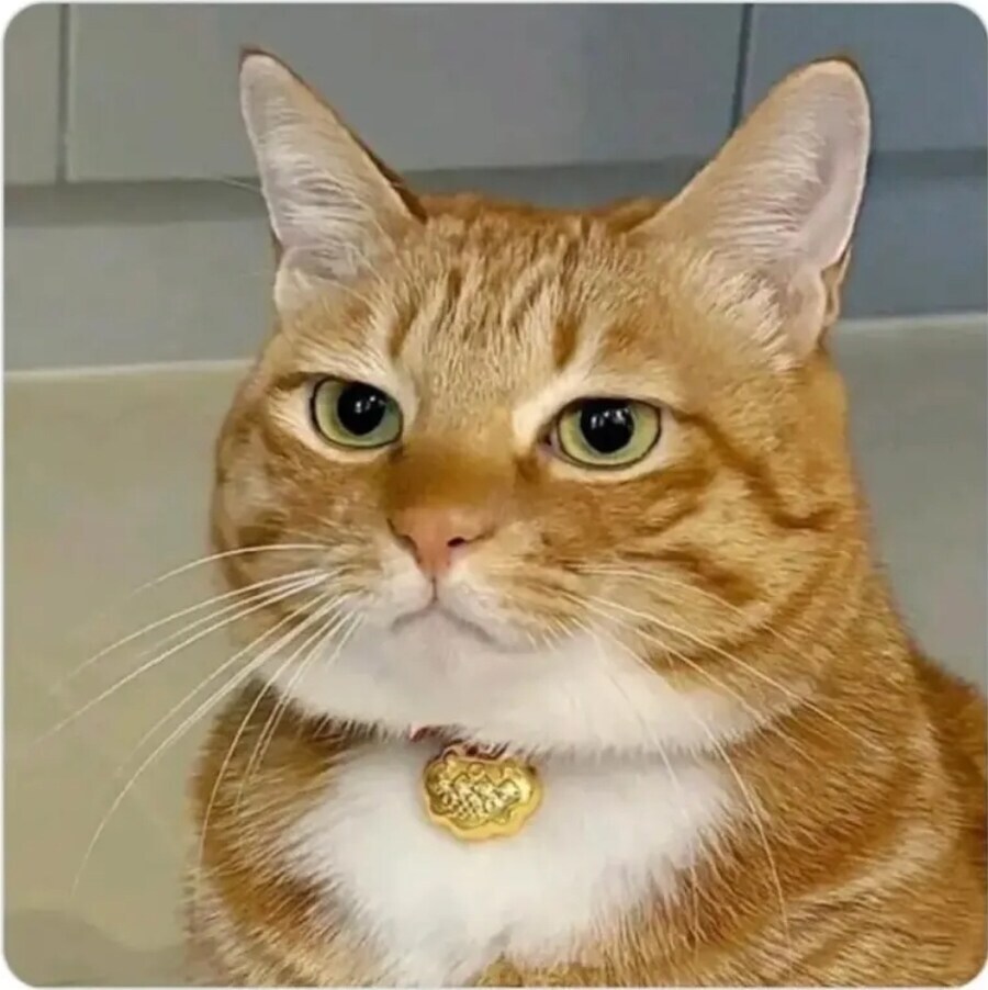 우라라카 오챠코 특_2.jpg