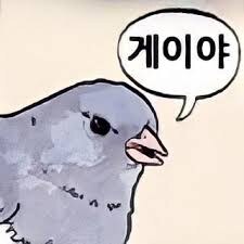 길 가는 사람 머리때리고 우는 새.jpg_6.jpg