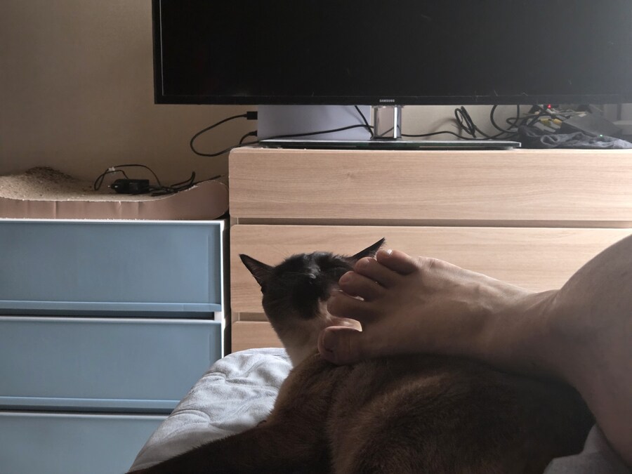 고양이 : 나는 나고 너는 너야! 난 되고 넌 안돼!_8.jpg