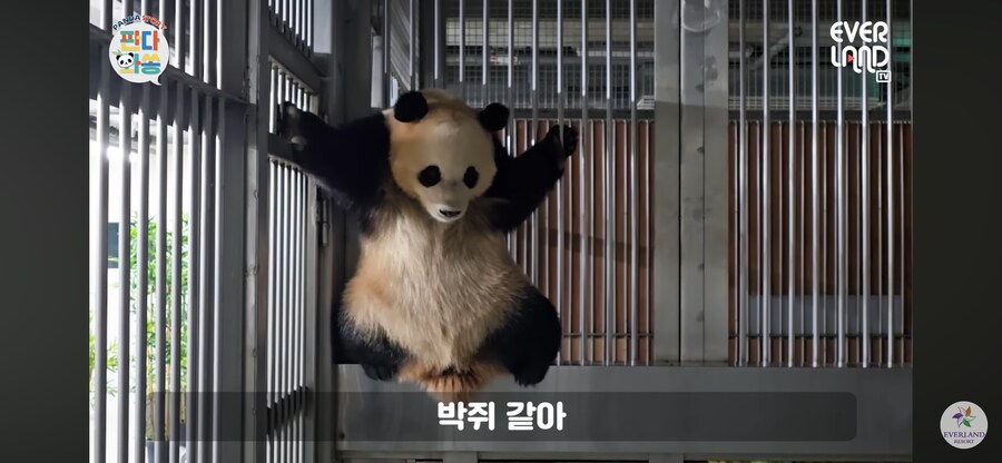 배트맨 후이바오_1.png