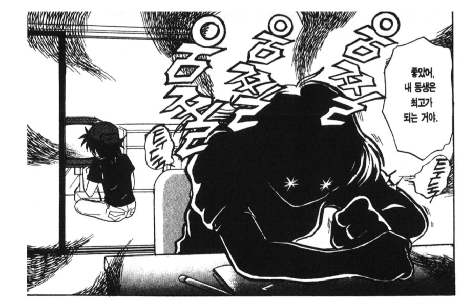 1990년대에 발매되었다가 전부 회수당한 게임_1.png