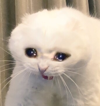 얘드라 2시간 후면 우리도 이제 작별인사를 해야해_1.png