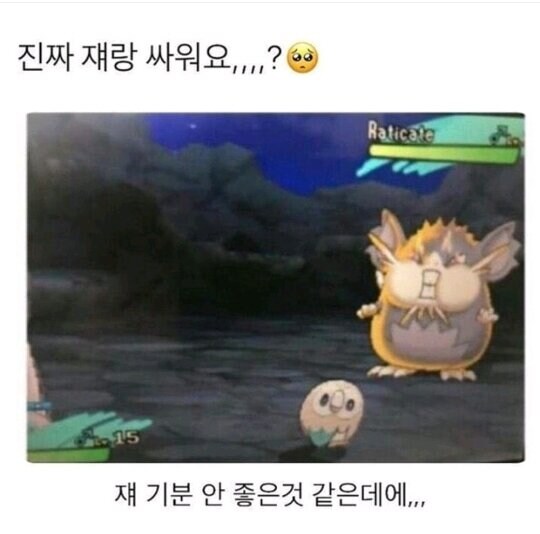 맨날 얻어터지던 나몰빼미 근황_1.jpg