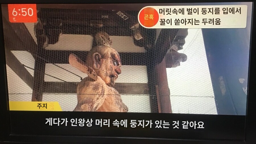 일본의 달달한 인왕상🍯_1.jpg