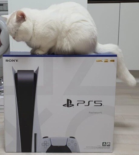 퇴근하고 경찰서 우편 받은 썰_2.jpg