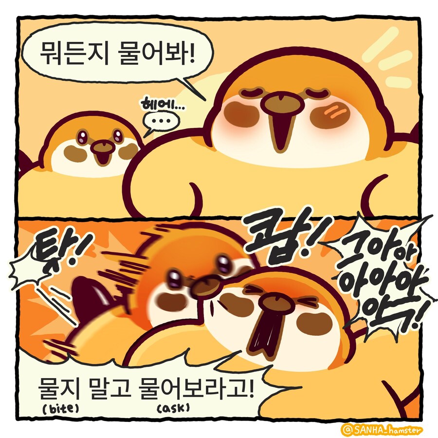 아재개그를 치는 참새_5.jpg