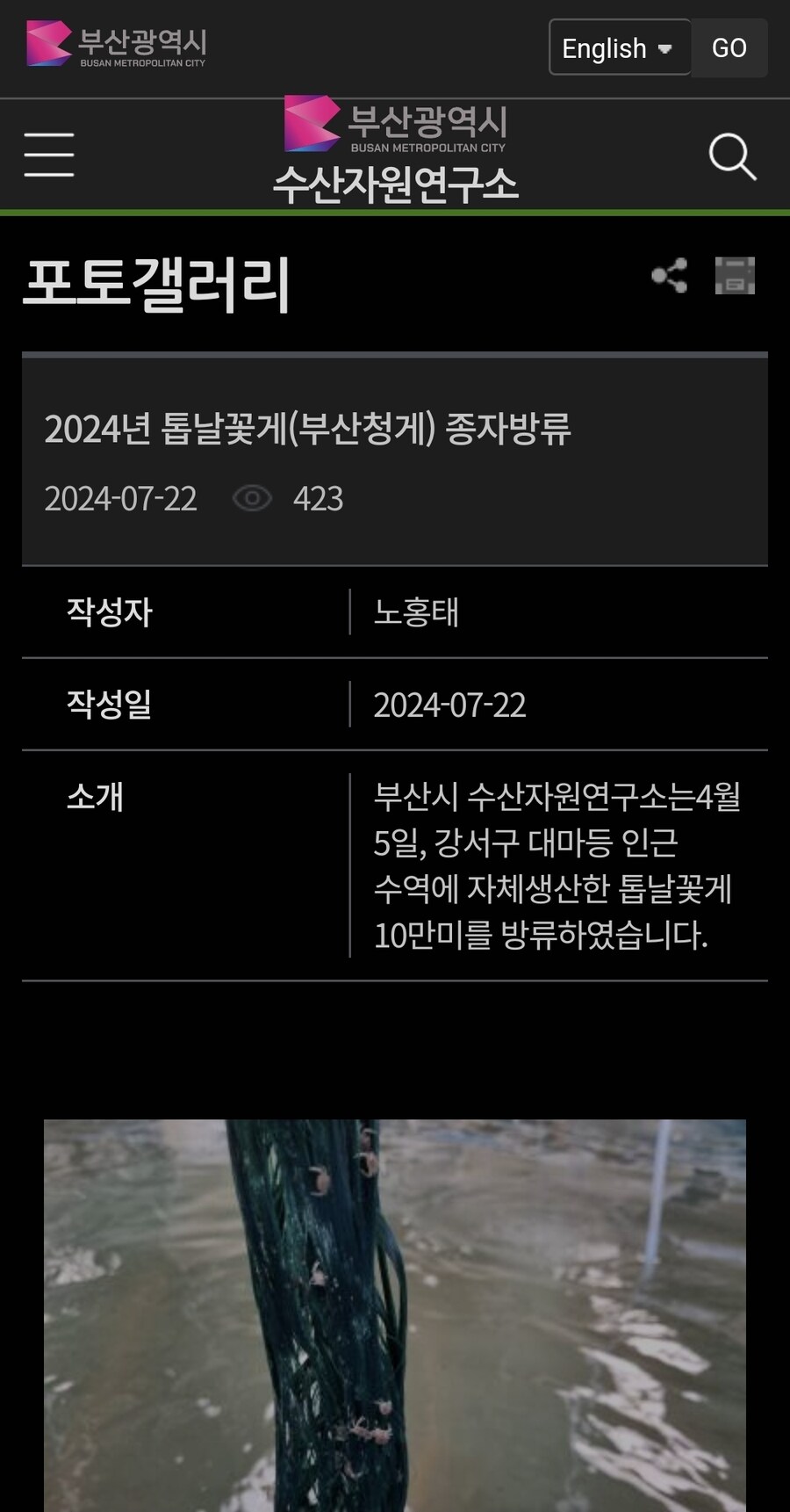 톱날꽃게 근황_2.jpg
