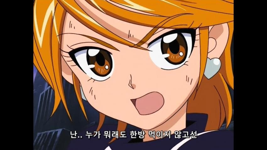 프리큐어) 초대충들이 대차게 까이는 가장 큰 이유_13.png