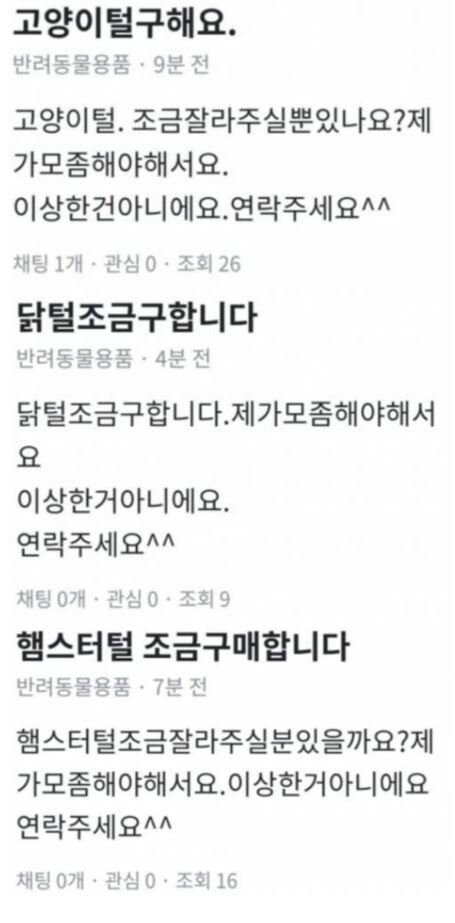 당근에 나타난 연금술사.jpg_1.jpg