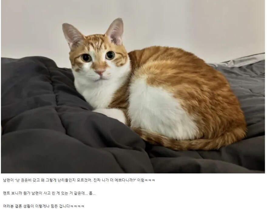 남편이 뭔가 큰 사고친것 같다는 아내.jpg_2.png