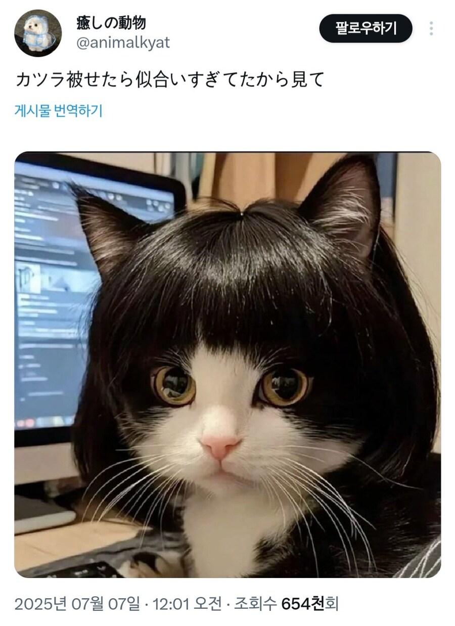 머지 이거 옛날에 봤던거같은데_1.jpg