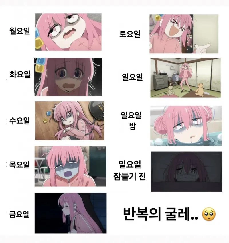 직장인의 굴레.jpg_1.webp