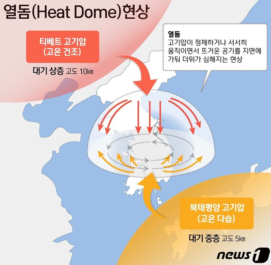 ???: 장마와 태풍이 두렵다고 했나 한국인들??_2.jpg