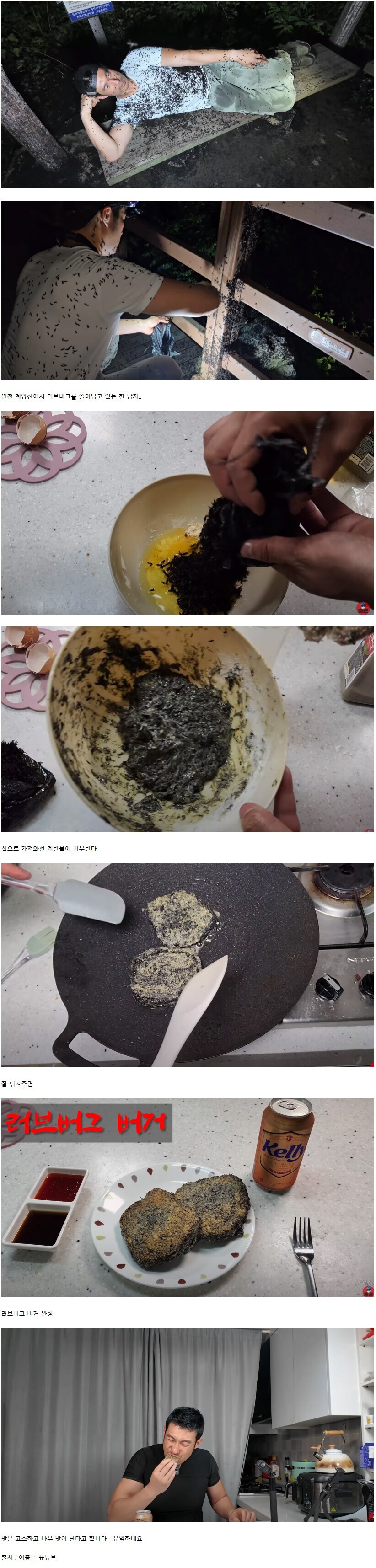 인방) 러브버그 사태로 떡상한 유튜버_2.jpg