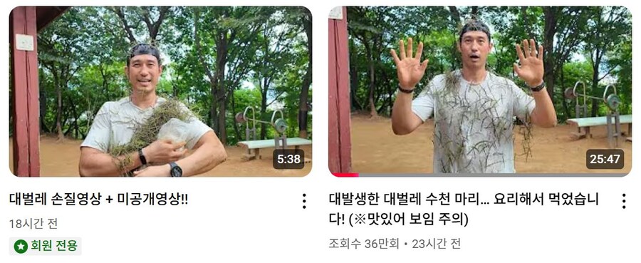 인방) 러브버그 사태로 떡상한 유튜버_3.jpg