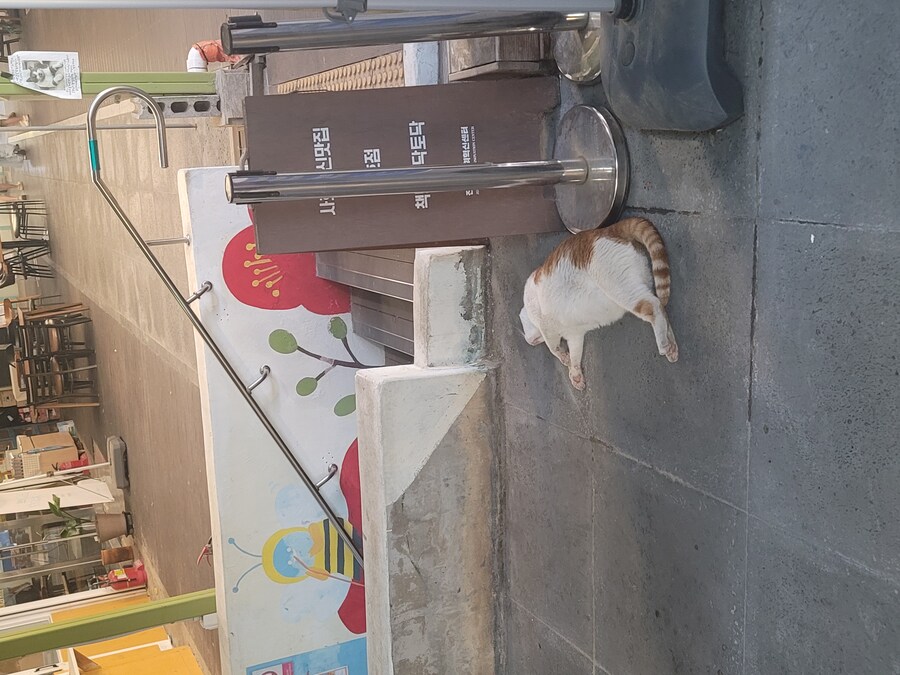 전 주에 전주에 다녀왔습니다._22.jpg