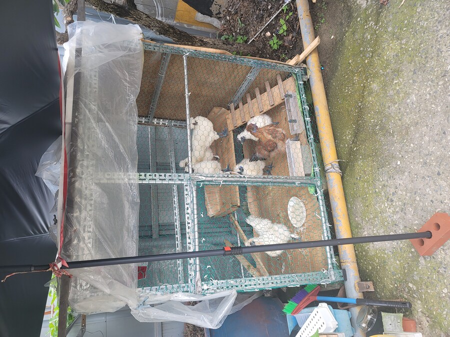 전 주에 전주에 다녀왔습니다._26.jpg