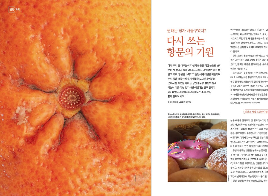 사실 항문은 정자 배출구였다?_1.jpg