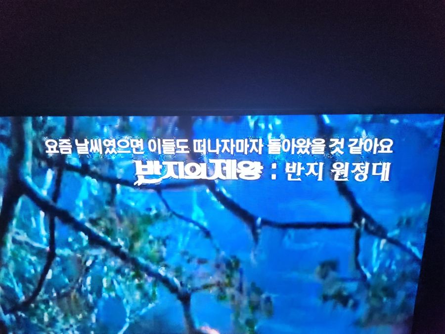 [영화] "여름 특선 영화 -반지의 제왕-"_1.jpg